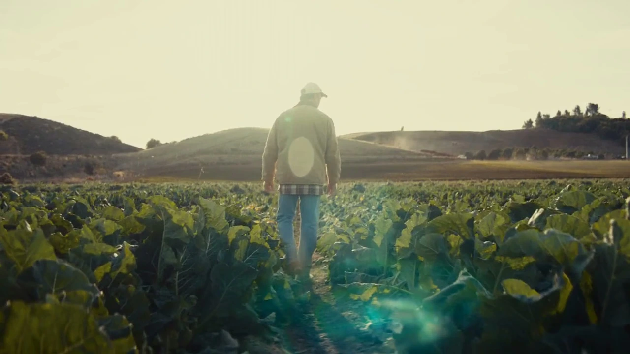 Powerful Answers Inhale Exhale TV spot